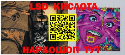 стаф Дубна
