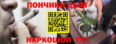 стаф Дубна