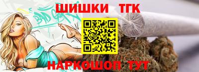 стаф Дубна