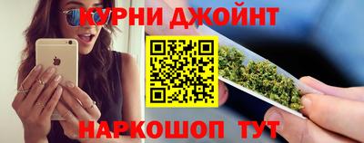стаф Дубна