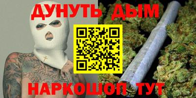 стаф Дубна