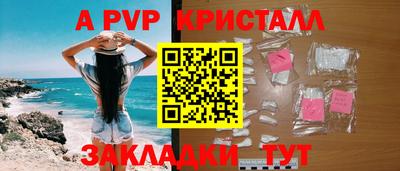 стаф Дубна