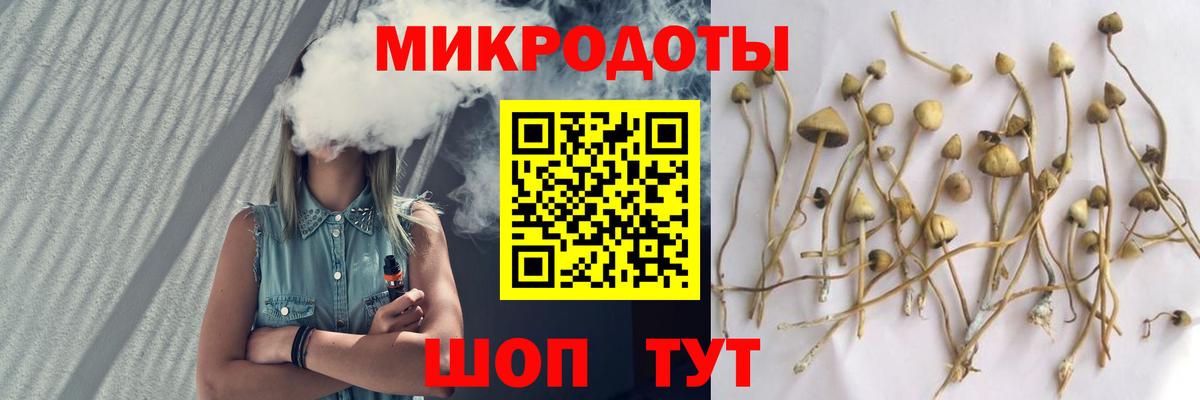 Галлюциногенные грибы Cubensis  Галлюциногенные грибы Magic Shrooms  Вход с VPN  Малгобек 